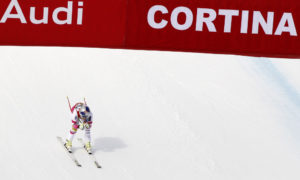 cortina sci