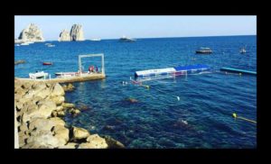 capri-pallanuoto