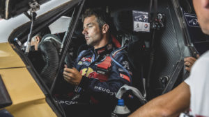 loeb