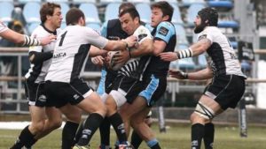 zebre