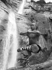 monaco shaolin4