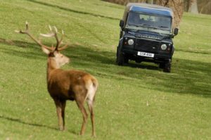 Land Rover Defender (14)