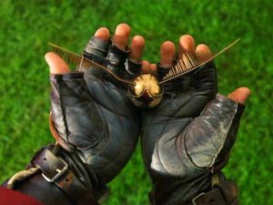 quidditch-buscador