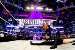 Brock Lesnar win