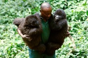 guardiaparco-virunga