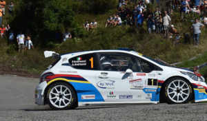 Andreucci 208 peugeut
