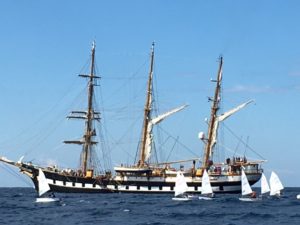 vela crotone 2