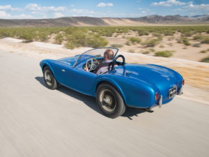 shelby cobra (14)