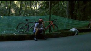 nibali