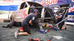 red bull (5)