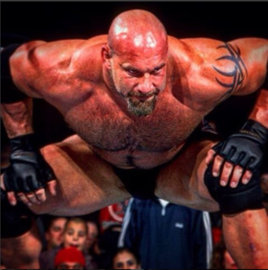 Bill Goldberg (11)