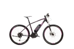 Cicli Lombardo (1)