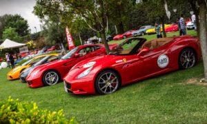 carsandcoffee07