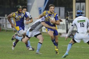zebre