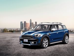 MINI (14)