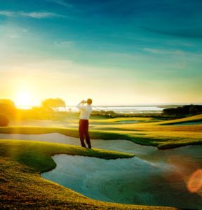 Palmares_Algarve_Photo Yves Callewaert