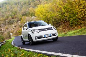 Suzuki Ignis (20)
