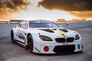 John Baldessari BMW M6 GTLM Art Car #19.