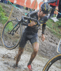 aerts