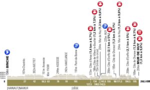 Altimetria-Freccia-Vallone-2017
