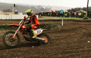 cairoli