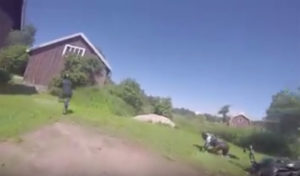 video 2