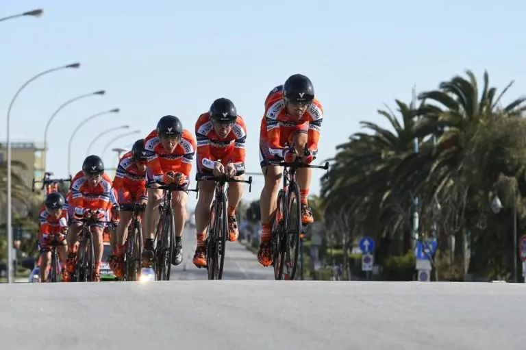 nippo vini fantini