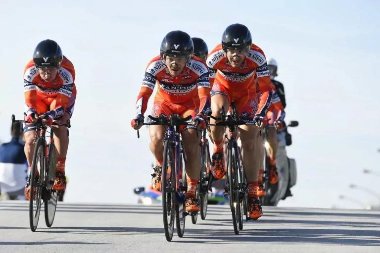 nippo vini fantini