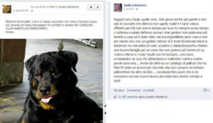Giulia-Calcaterrasu-risponde-agli-utenti-su-fb-sulla-vicenda-del-cane