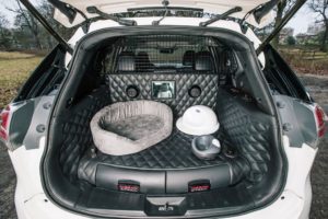 Nissan X-Trail 4Dogs