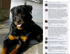 cane-giulia-calcaterra