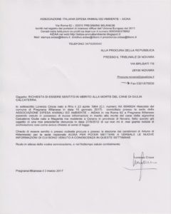 di-page-001