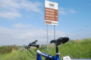 eroica montalcino