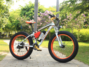 RT012-Orange-1