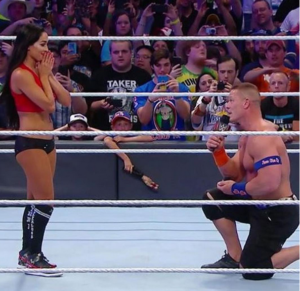 WrestleMania 33 (8)