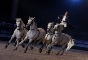 Fieracavalli 