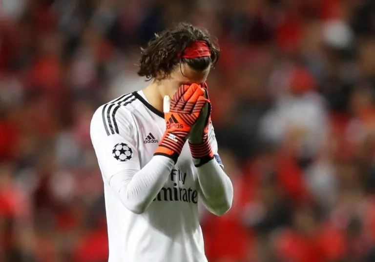 Mile Svilar, Benfica
