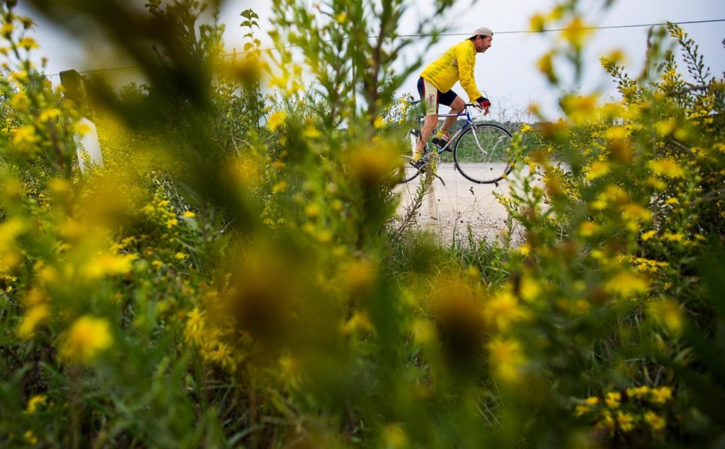 L'Eroica