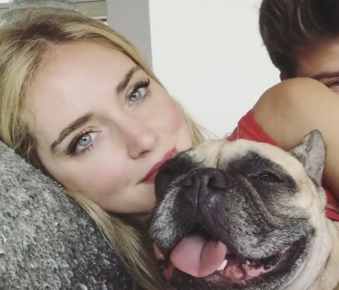 Fedez Il Cane Di Chiara Ferragni Canzone