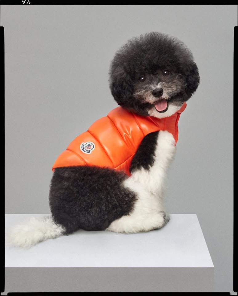 Da www.moncler.com