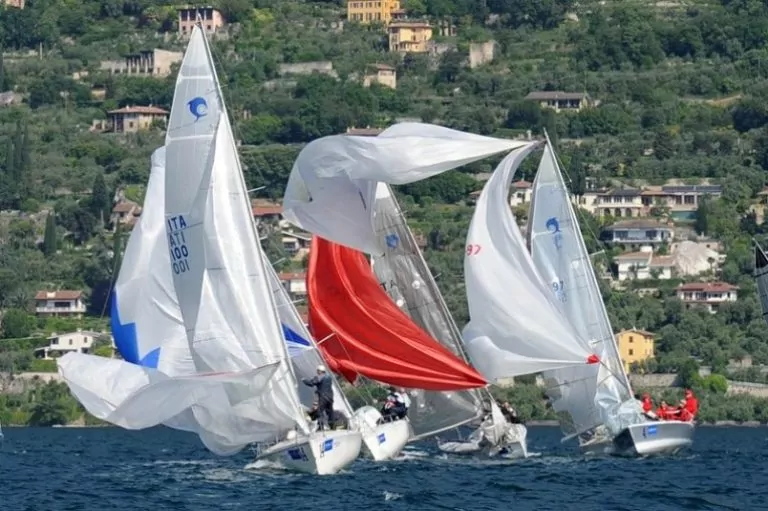 Dolpin del Garda