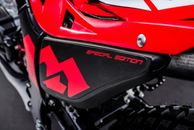 RedMoto 300RR