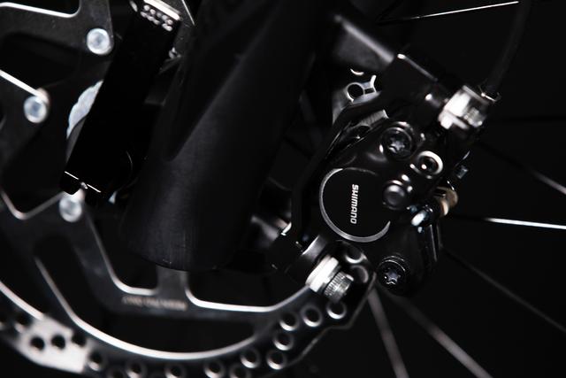 Triumph XCX