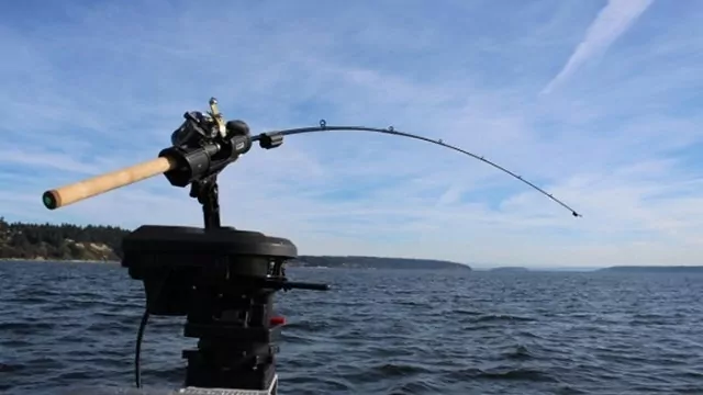 canne da pesca