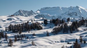 moviment alta badia