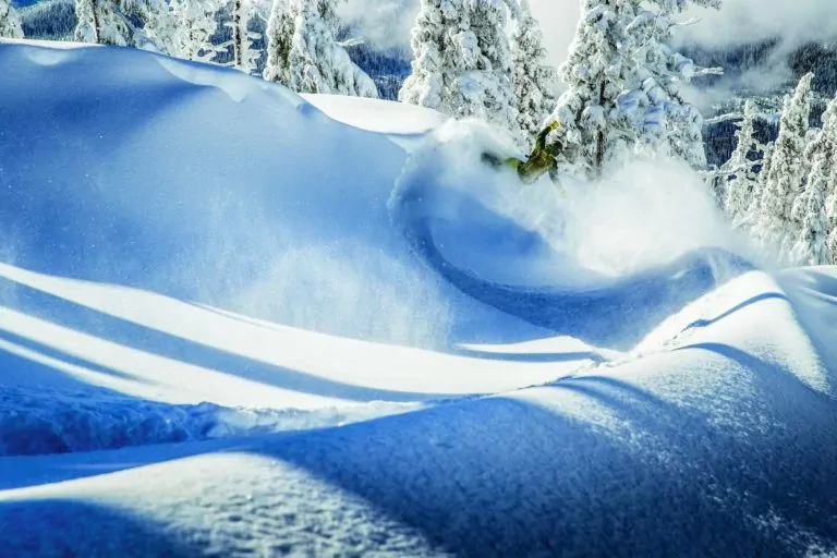 Patagonia