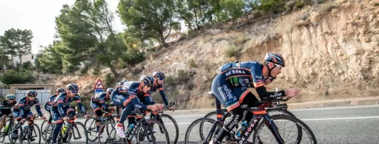 NIPPO Vini Fantini Europa Ovini
