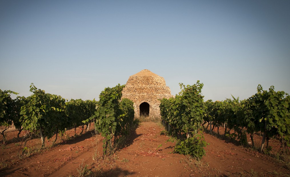 Primitivo di Manduria