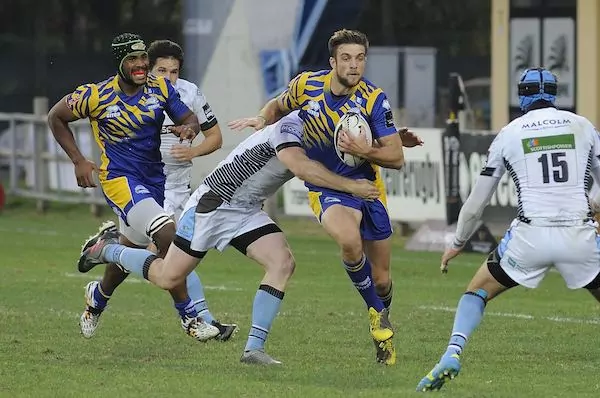 Zebre VS Warriors