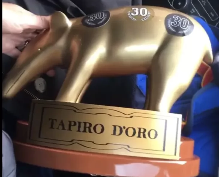 tapiro d'oro